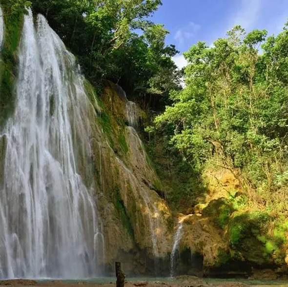Samana